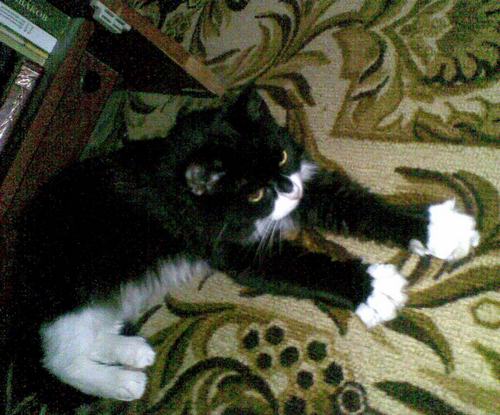 29062008.jpg