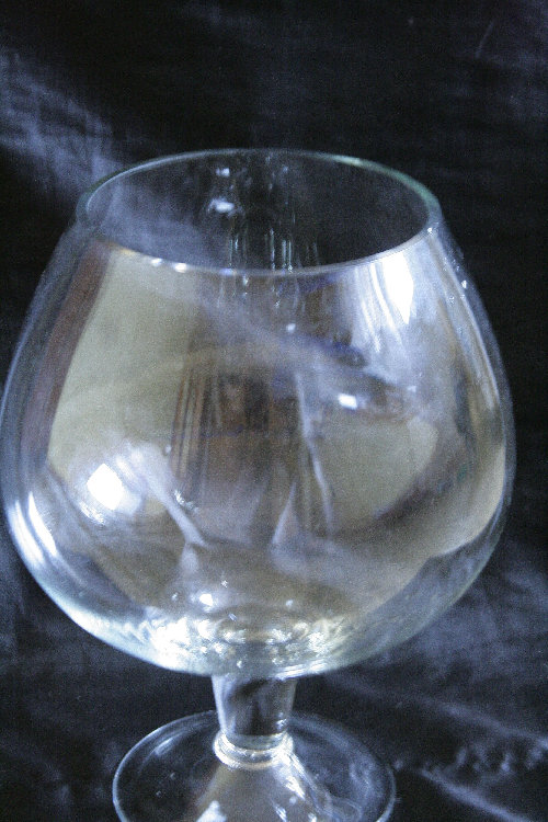 IMG_0848.JPG