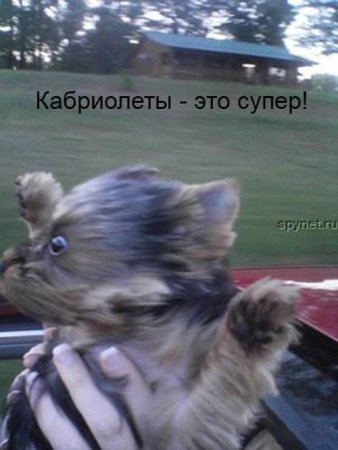 1207905325_13.jpg