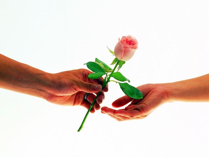 1212470569_roseb013.jpg