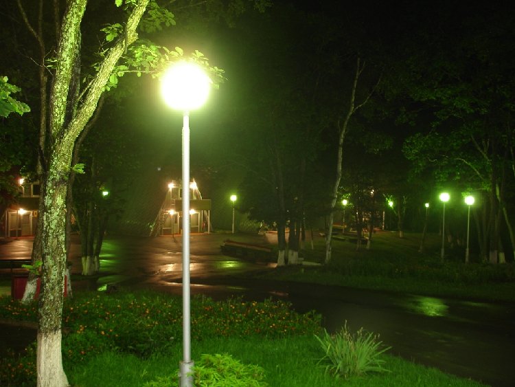 DSC00809.jpg