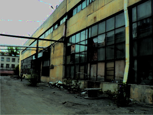P1050148.jpg