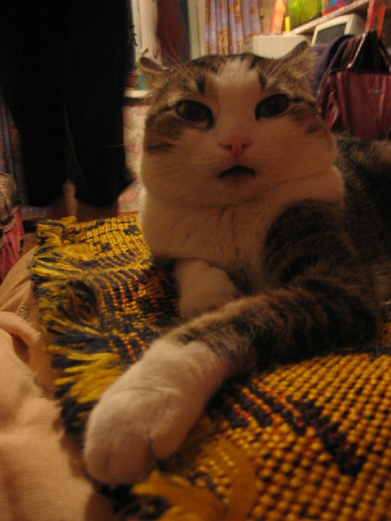 STA_1305.jpg