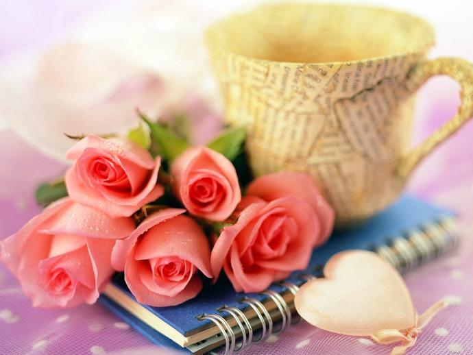 1212470569_roseb020.jpg