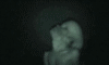 22.gif