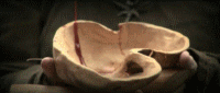 453645.gif