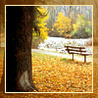60415_prev_98.jpg