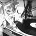 11708.gif