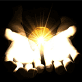 w_597.gif