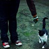 cats_and_the_rain_by_thenightshedied.jpg
