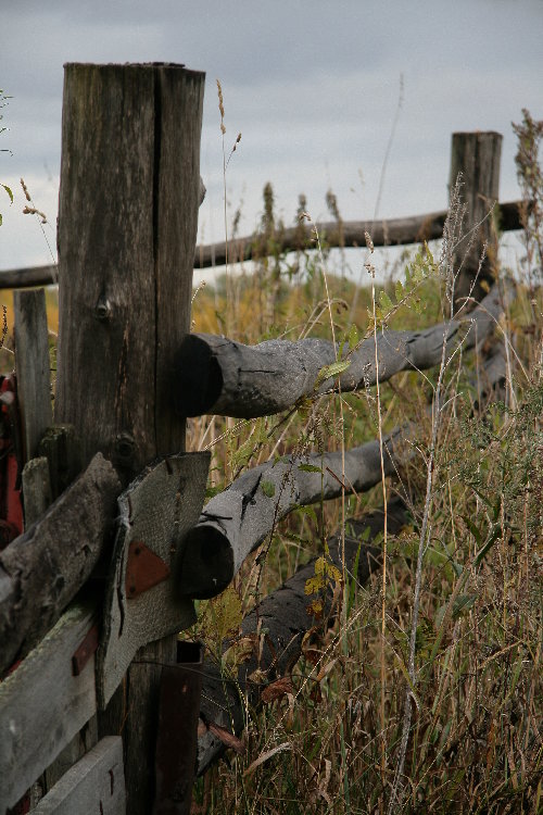 165.JPG