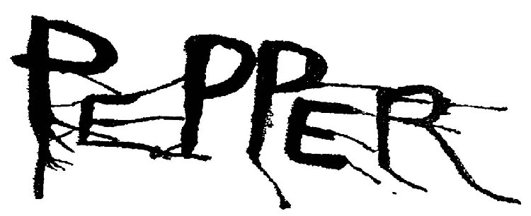 pepper logo4inch.jpg