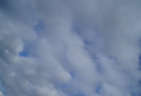 1222484751_p1010214.jpg
