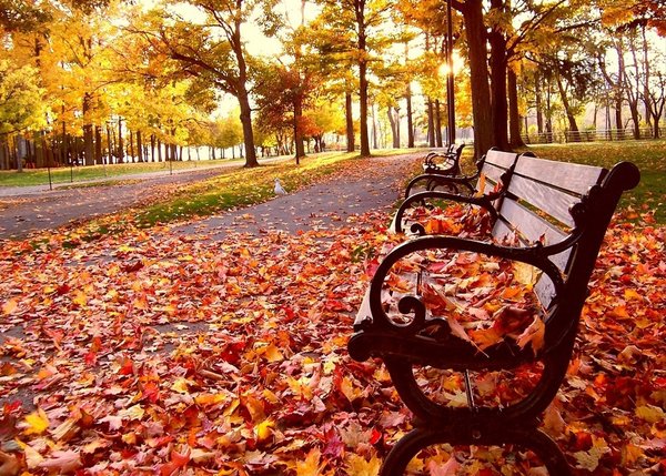 _autumn_II__by_Lovecomessoftly.jpg