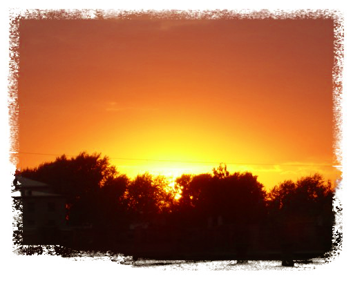DSC01711.png