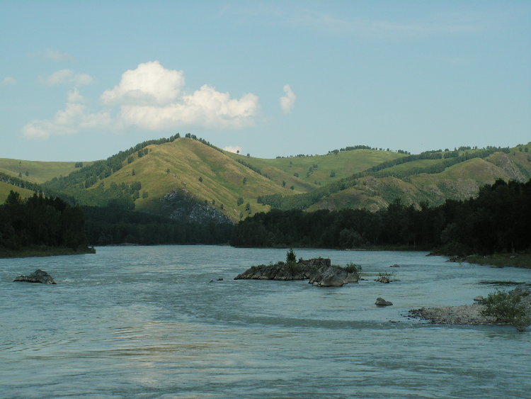 PICT1272.JPG