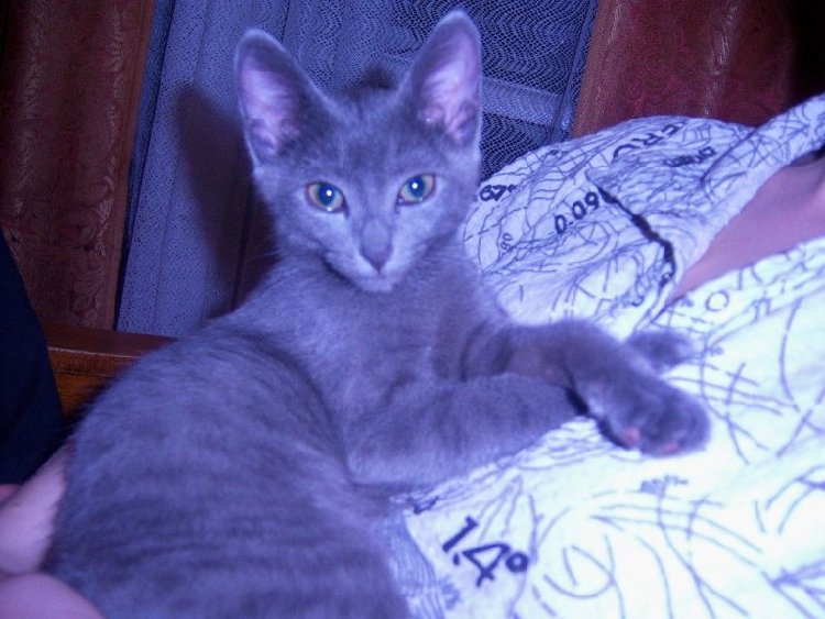 100_1514.jpg
