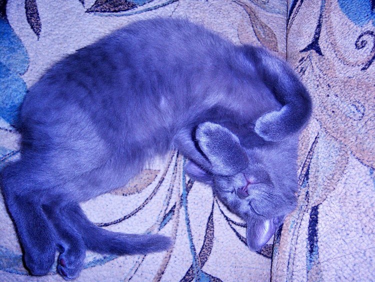 100_1512.jpg