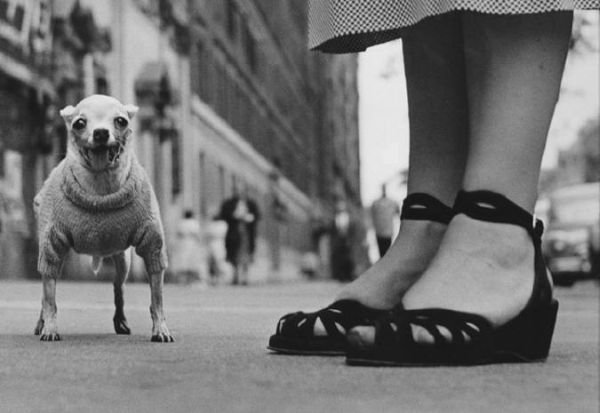 New York City 1946 Ellit Erwitt.jpg