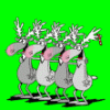 w1.gif