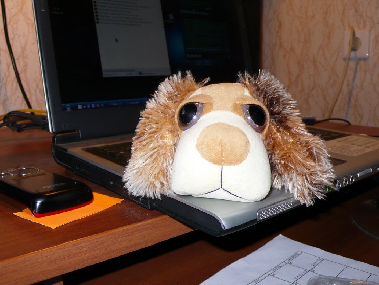 P1050362.jpg