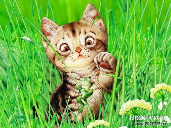 1175262612_cat05.jpg