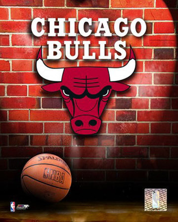 AAGZ199_8x10-2006Logo~Chicago-Bulls-Posters.jpg