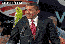 11282.gif