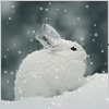 496.gif