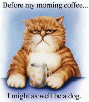 b4coffee.jpg