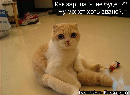 kotomatrix_26.jpg