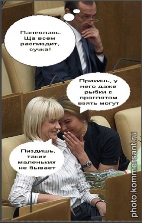 1233724473_duma_21.jpg