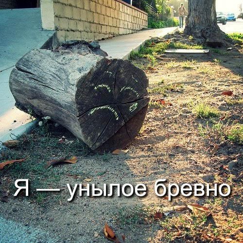 057_pics.jpg