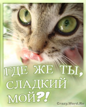 1210428919_1.jpg