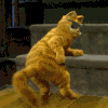 63911s.gif