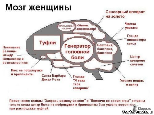 1235475147_1501944.jpg