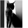 742.gif