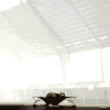 843.gif