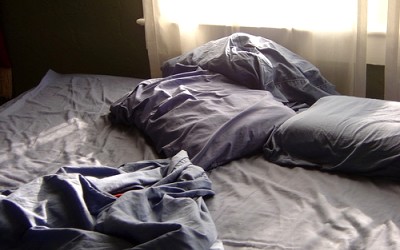 0445.jpg