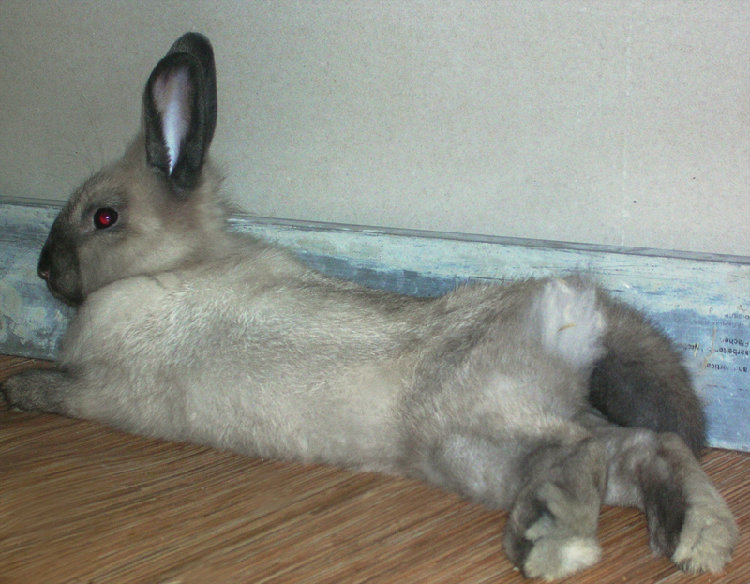 IMG 004.jpg