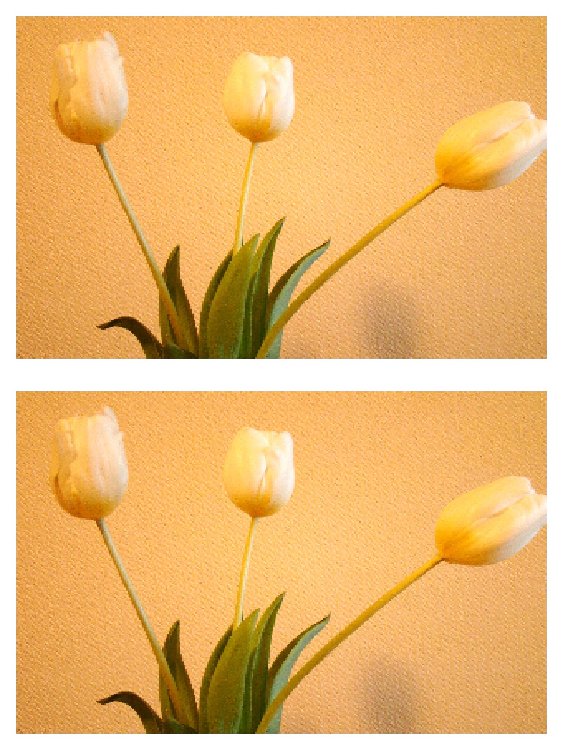цветы2.jpg