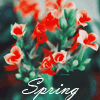 38712189.gif