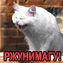 rgunimogy.gif