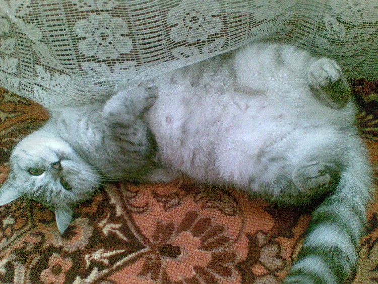 Image(022).jpg