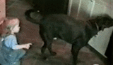 gifki_03.gif