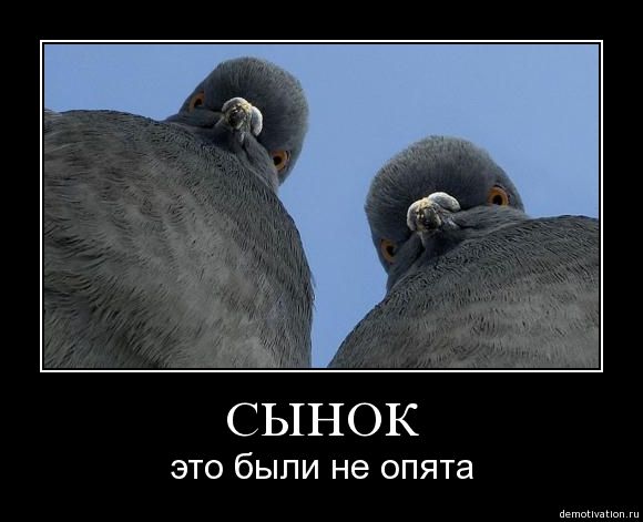 1238489411_s2img_26987217_345_1.jpg