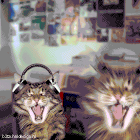 1228762408_beta244.gif