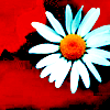 816.gif