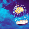 815.gif