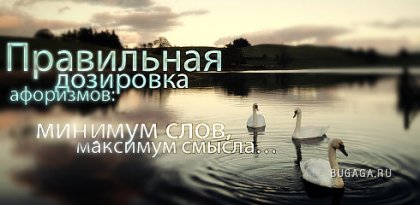 123.jpg